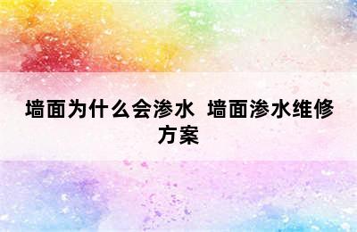 墙面为什么会渗水  墙面渗水维修方案